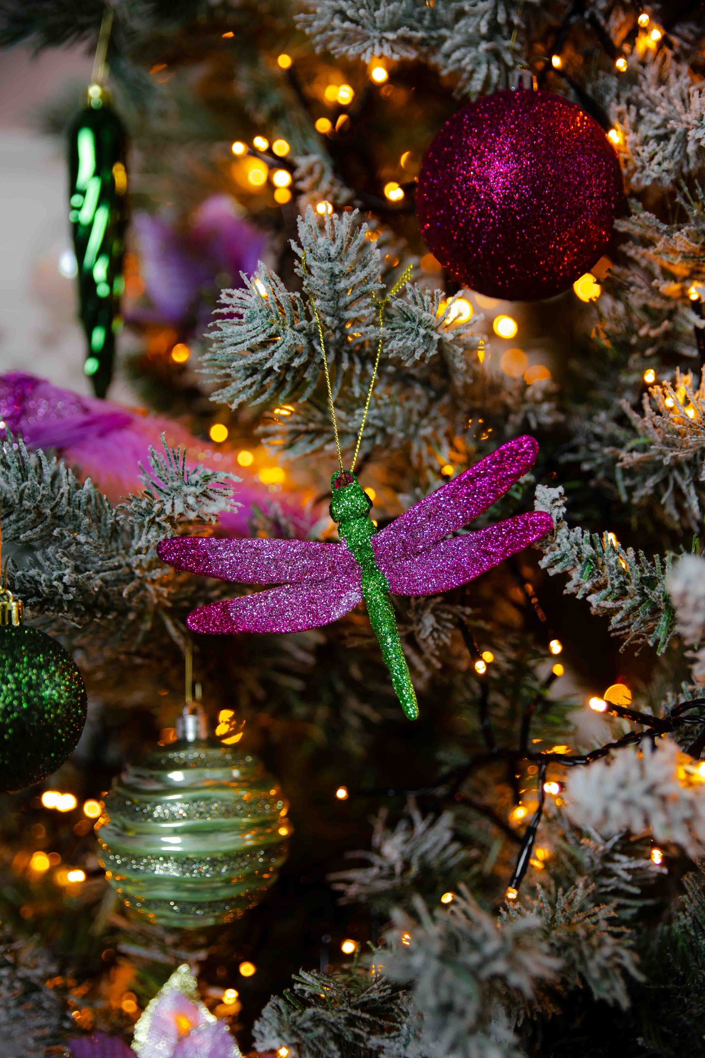 Mystical Christmas Adventures - for kids