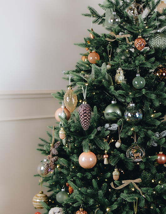 Cosy Christmas Times