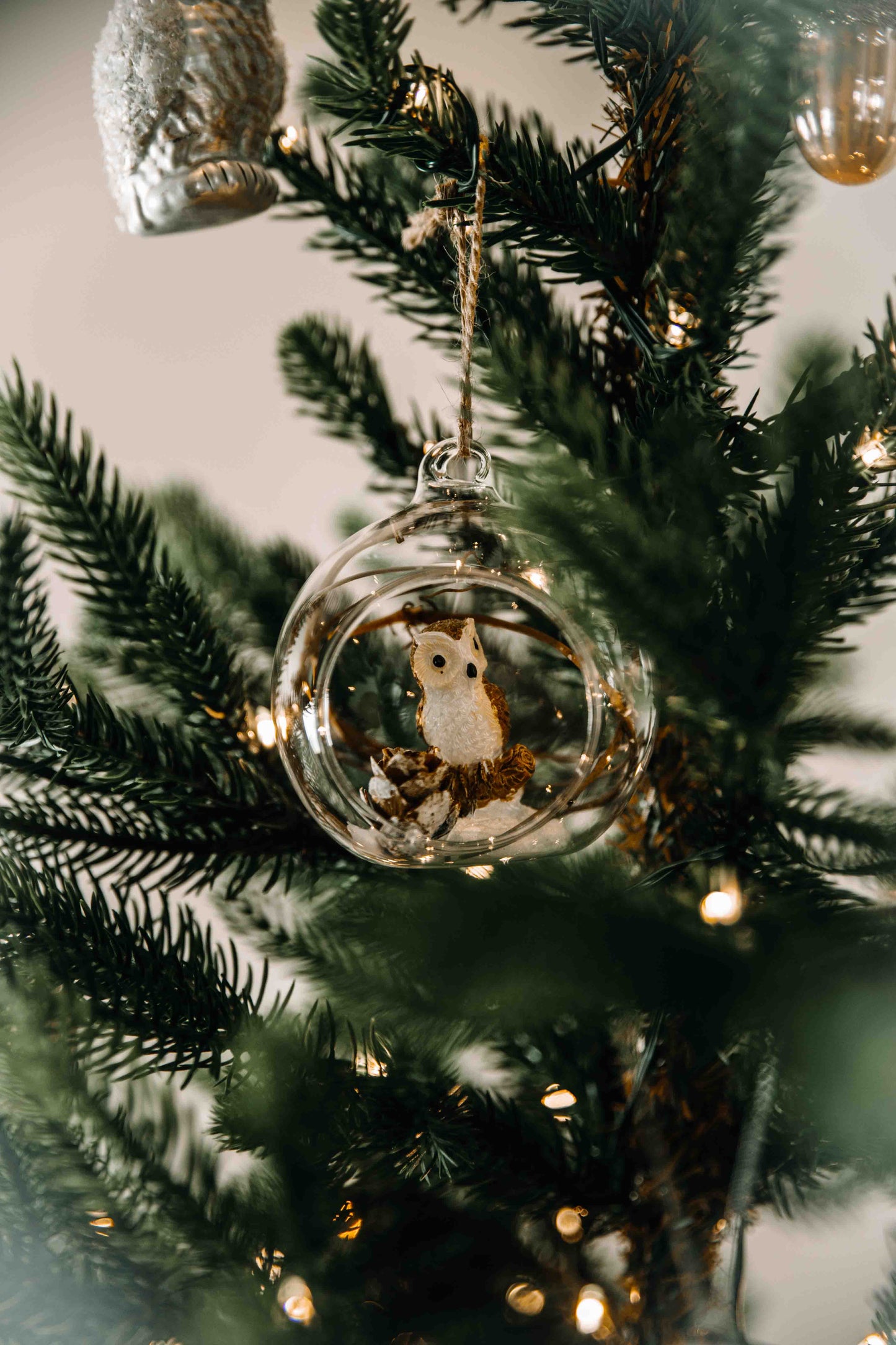 Cosy Christmas Times