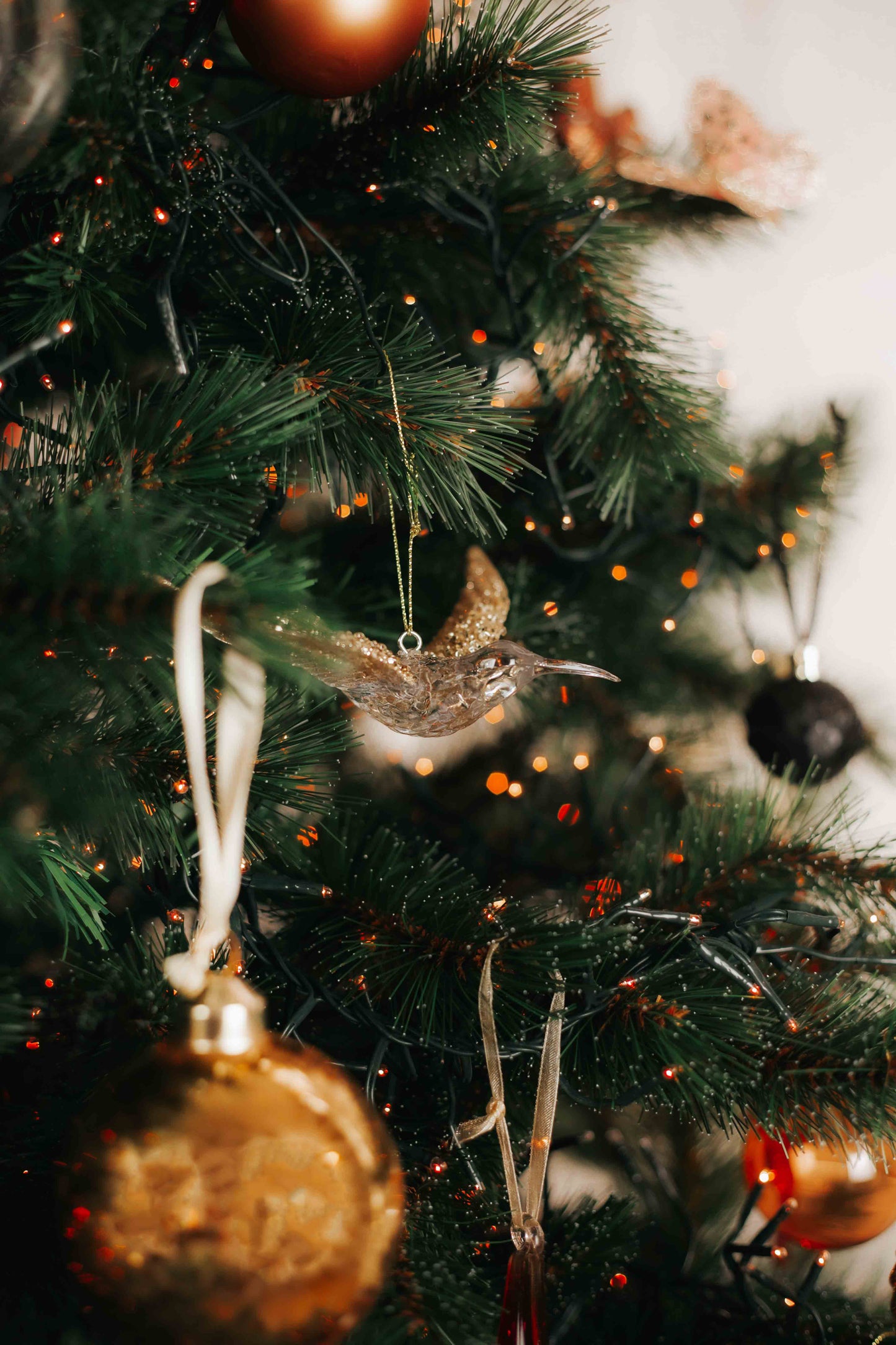 Golden Christmas Moments