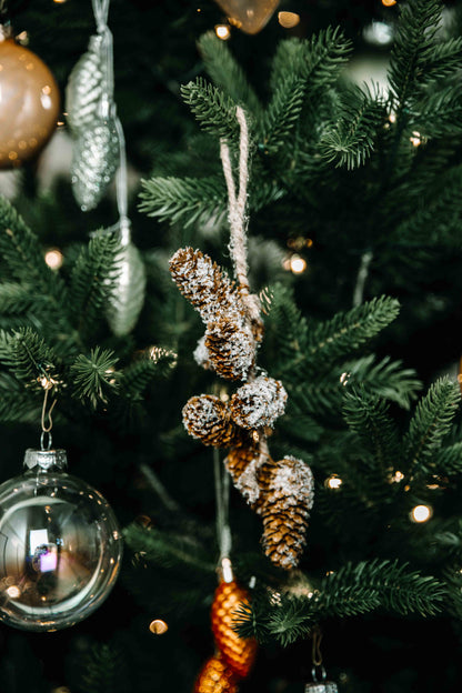 Cosy Christmas Times