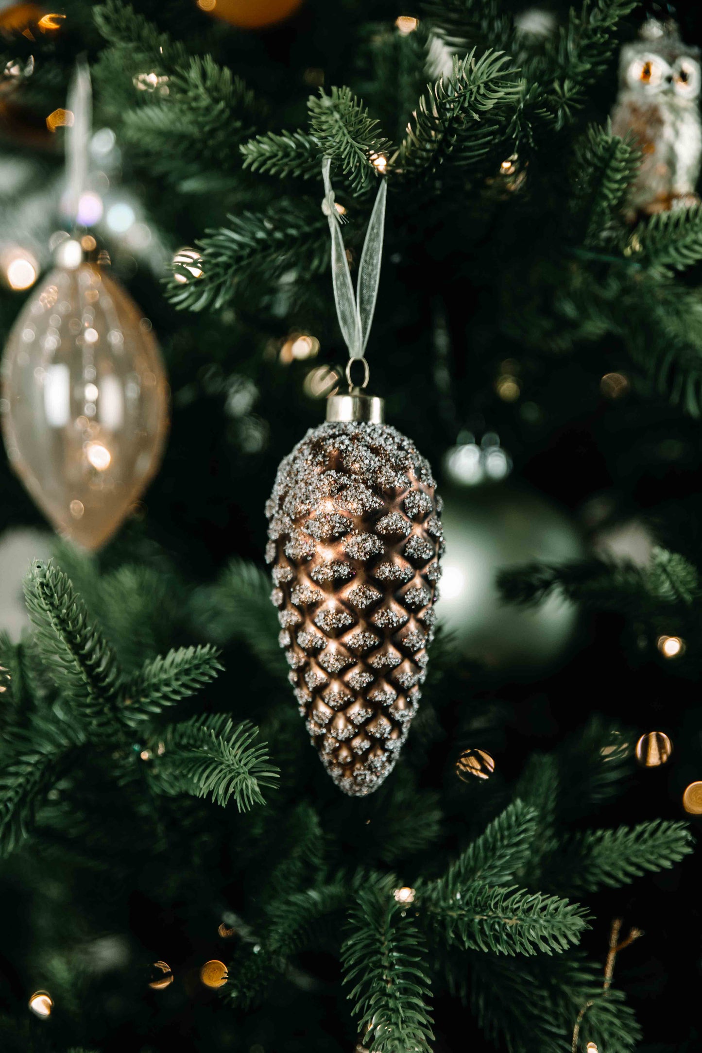 Cosy Christmas Times