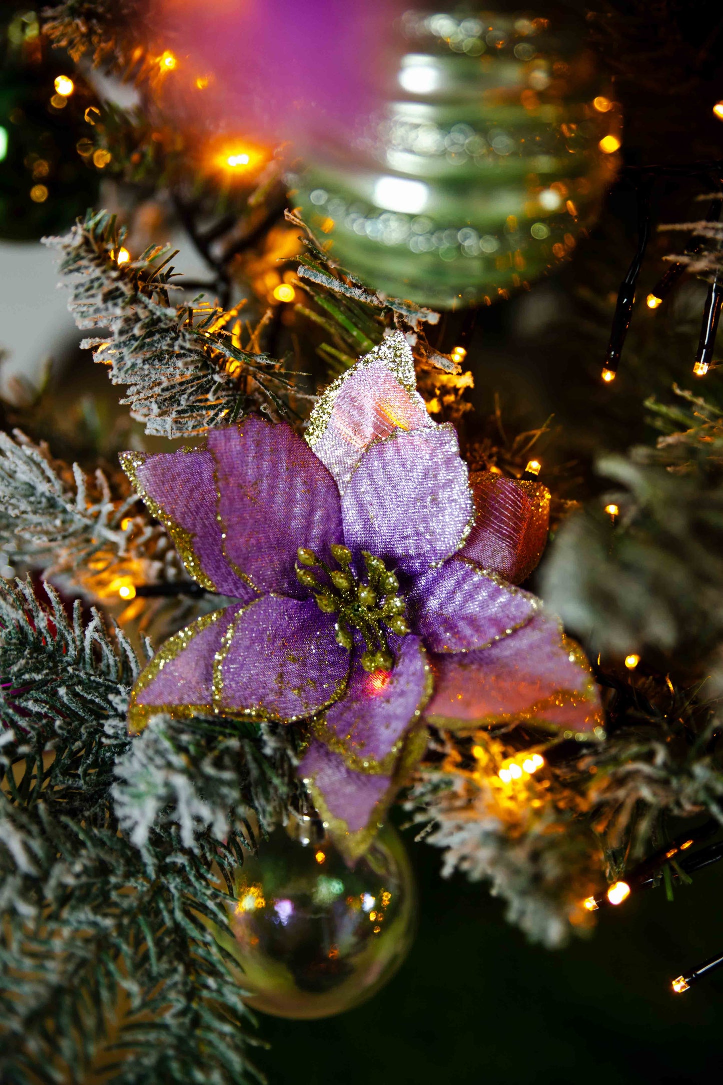 Mystical Christmas Adventures - for kids